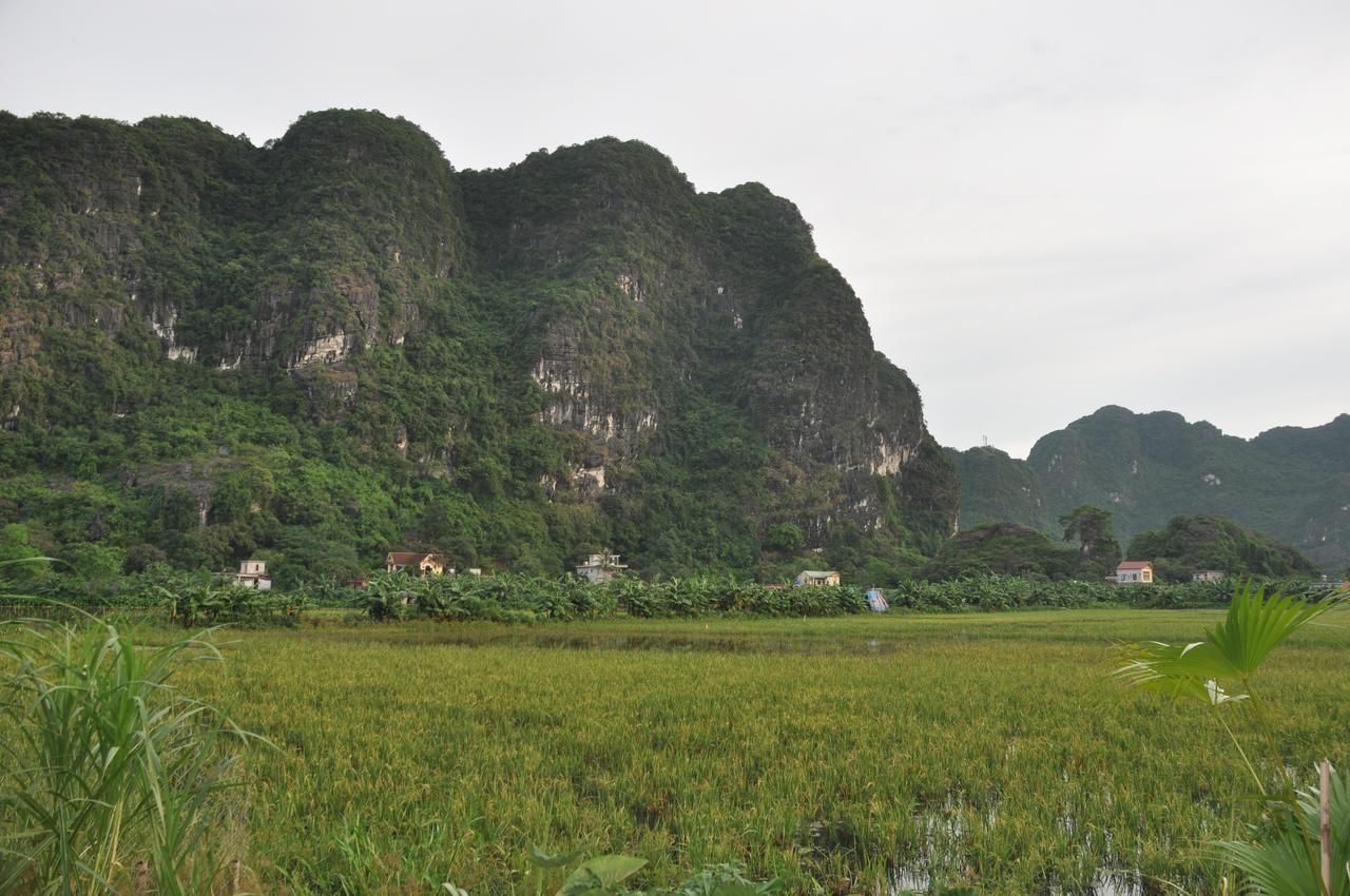 Trang An Valley Bungalow 宁平 外观 照片